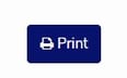 Print button-1